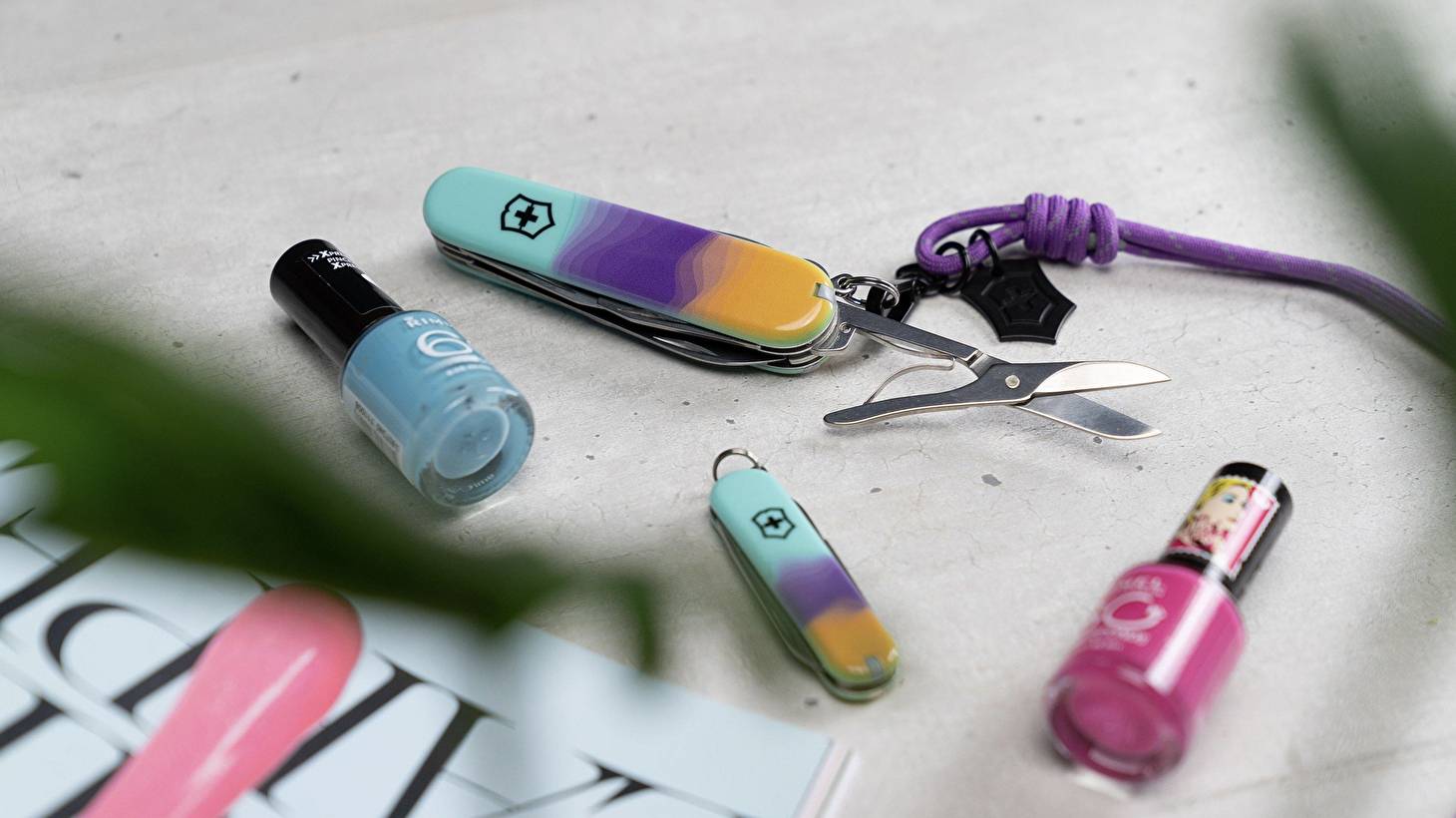 Коллекция LIVE TO EXPLORE от Victorinox