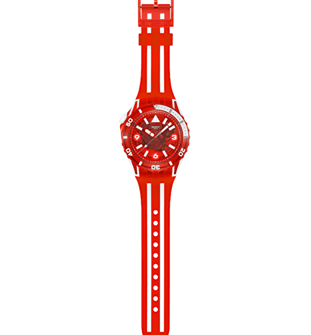 Наручные часы SWATCH SCUBAQUA LION'S MANE