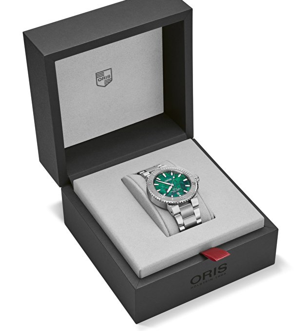 Наручные часы ORIS X BRACENET