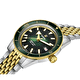 Наручные часы Rado Captain Cook Automatic