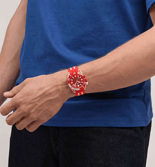 Наручные часы SWATCH SCUBAQUA LION'S MANE