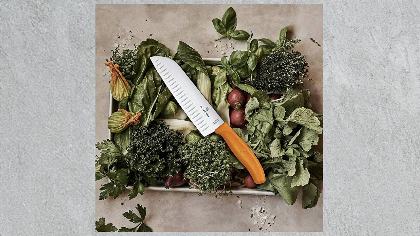 Кухонные ножи Victorinox Swiss Classic