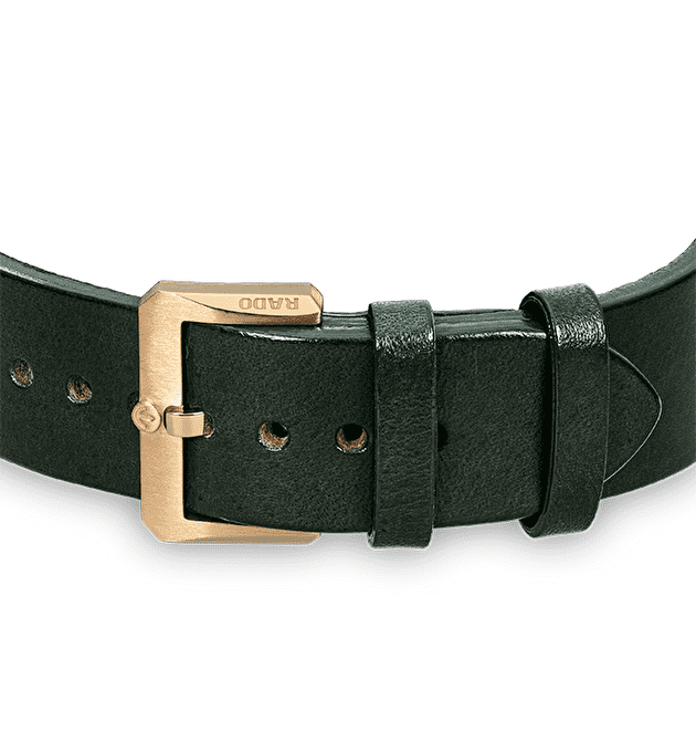 Наручные часы Rado Captain Cook Automatic Bronze