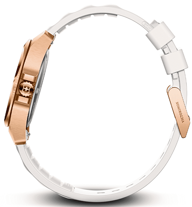 Наручные часы Victorinox Inox Small