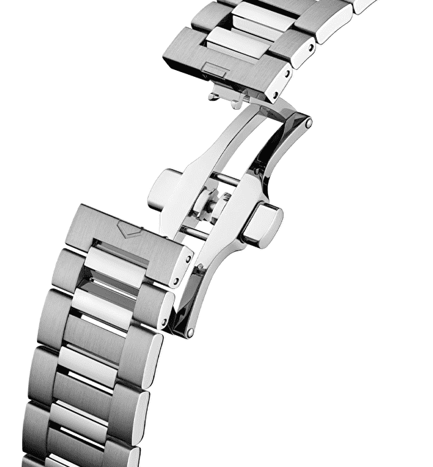 Наручные часы Tag Heuer CarreraDay-Date