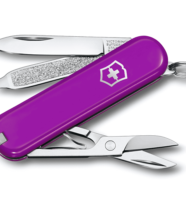 Victorinox Classic SD Colors Tasty Grape