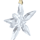 Елочное украшение Annual Edition Little Star Ornament 2025