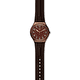 Swatch Copper Time