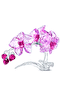 Фигурка Crystal Flowers Flowers Orchid