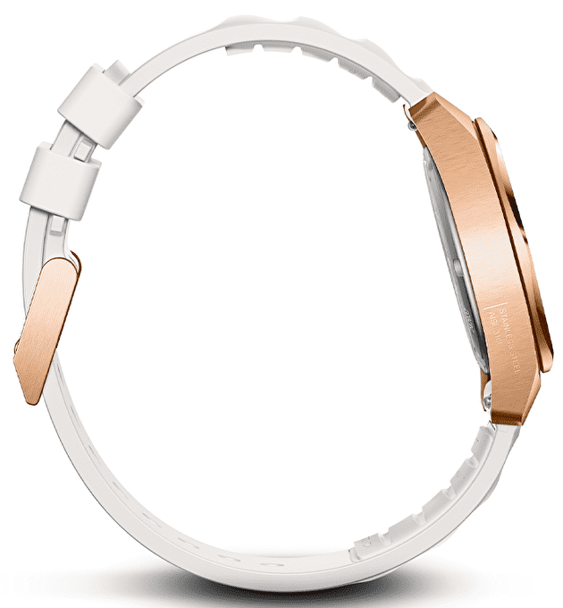 Наручные часы Victorinox Inox Small