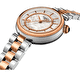 Наручные часы Tissot Desir 28mm