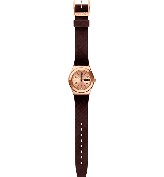 Наручные часы Swatch Brownee