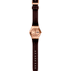 Наручные часы Swatch Brownee