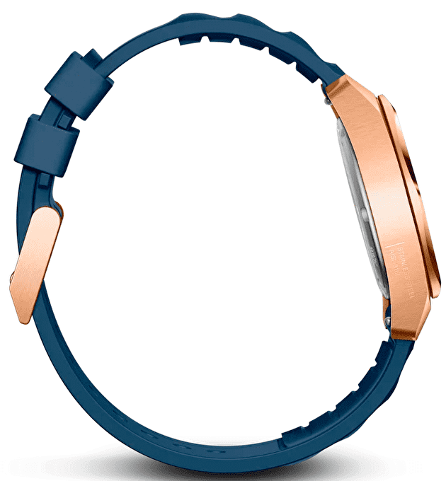 Наручные часы Victorinox Inox Small