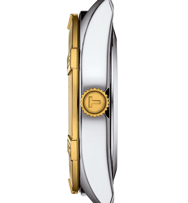 Наручные часы Tissot Pr 100 Sport Chic