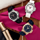 Наручные часы Victorinox Inox V