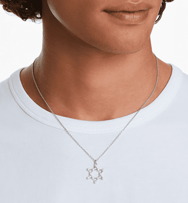 Подвеска Insigne