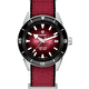Наручные часы Rado Captain Cook Automatic