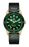 Наручные часы Rado Captain Cook Automatic Bronze