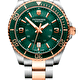 Наручные часы Victorinox Maverick Large