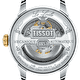 Наручные часы Tissot Le Locle 39.3mm
