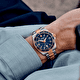Наручные часы Victorinox Maverick Large