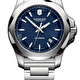 Victorinox Inox