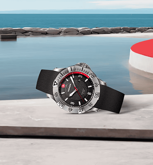 Наручные часы Wenger Seaforce